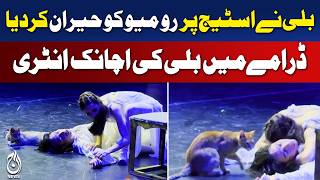 Romeo Juliet Play | Stage Performance Cat Incident | Izmir Theatre Viral Moment - Aaj News