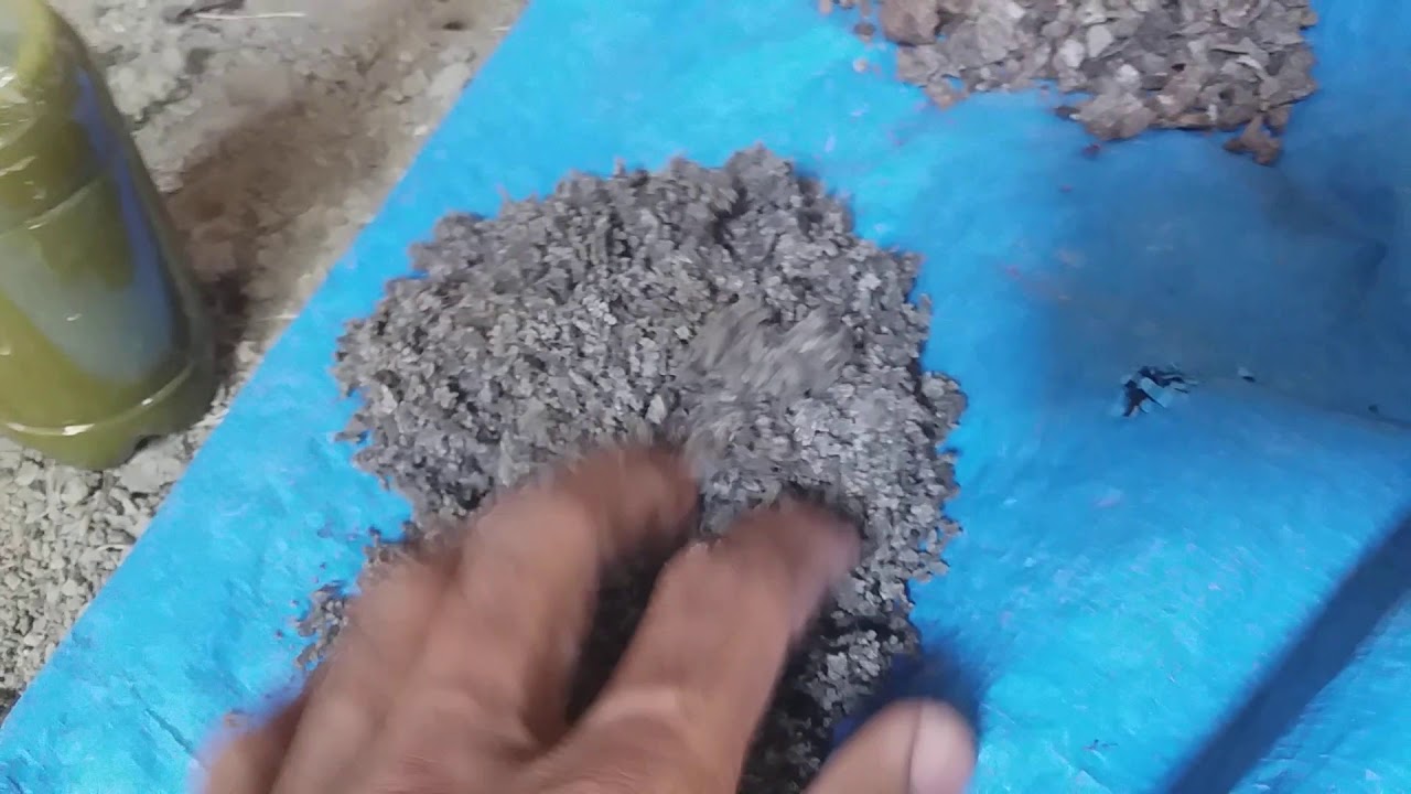 cara membuat kompos dari azolla 