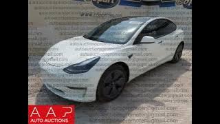 LRW3E7EK7PC688022 2023 Tesl Model 3