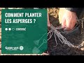 [TUTO] Comment planter les asperges ? - Jardinerie Gamm vert