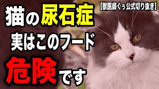 【尿石症】療法食を猫に使い続けるリスクを獣医師が解説します【獣医師くぅ公式切り抜き】 by くぅのキャットフード研究室 15,272 views 1 month ago 7 minutes, 10 seconds