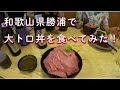 グルメ大トロ丼レポート！和歌山県勝浦で大トロ丼を食べてみた！