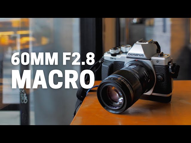 Is Olympus 60mm F2.8 The Best Macro Lens? - YouTube
