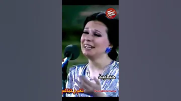 حبايبنا عاملين ايه في الغربة وأخباركم إيه Shorts Youtubeshorts Shorts 