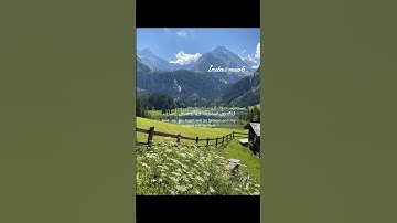 سورة الشعراء - بلال دربالي