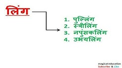 Gender लिंग best hindi vyakaran hindi grammar हिंदी व्याकरण for TET CTET RO/ARO UP Police