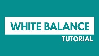 What is White Balance? Photography Tutorial