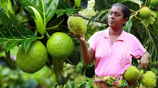 Did you know that breadfruit can be stored for 6 months and then eaten .village kitchen recipe