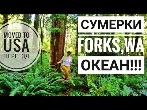 Переезд в США | По следам фильма СУМЕРКИ | Форкс, дом Беллы, океан, почти резервация Квилетов