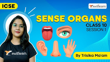 Sense Organs | ICSE Class 10 | Science Online Class | Session 1 - Swiflearn