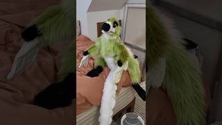 I make dinosaur plushies from scratch! What dino next? #customplush #furry