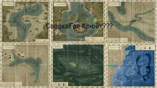 Небольшая сводка по водоёмам,Русская рыбалка 4! Норвежское. Медвежье . Волхов . Ладожский архипелаг.