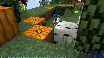 Mestermc Skypvp1 2.rész /w WeDo /w kisjatekos2002