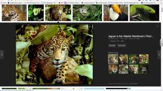 Getting Started with Thinglink