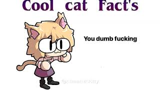 Cool cat Facts