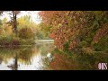 RELAXING MUSIC TO CALM THE MIND AND REDUCE STRESS, RELAXATION AND MEDITATION MUSIC