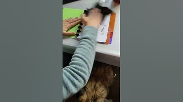 Erasable notebook video - yukicares