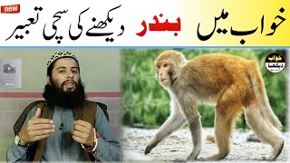 khwab mein bandar dekhna | sapne mein bander ko marna | monkey in dream | khwab ki tabeer urdu