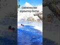 Сознание как скульптор бытия