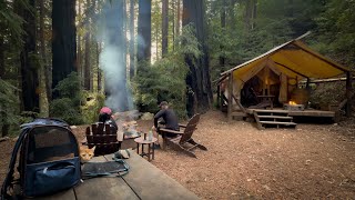 Camping in the Redwoods with our cat | Big Sur California | Part 1