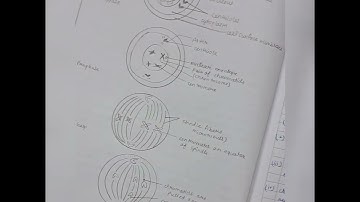 Practical Notebook    BIOLOGY PROJECT FILE             Session:2023-24       Whatsapp no: 8826935140