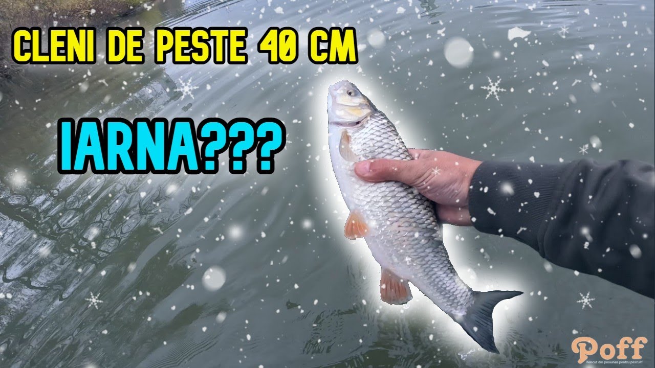 Clean Mare pe Apa Rece | Pescuit la Rapitor pe Rau in Noiembrie – Cel Mai Mare Clean din Acest An!!