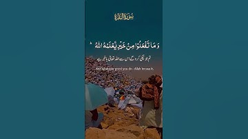 الحج اشهر معلومات | القرآن الكريم #quran #اكسبلور #yasseraldossary #اسلام_صبحي