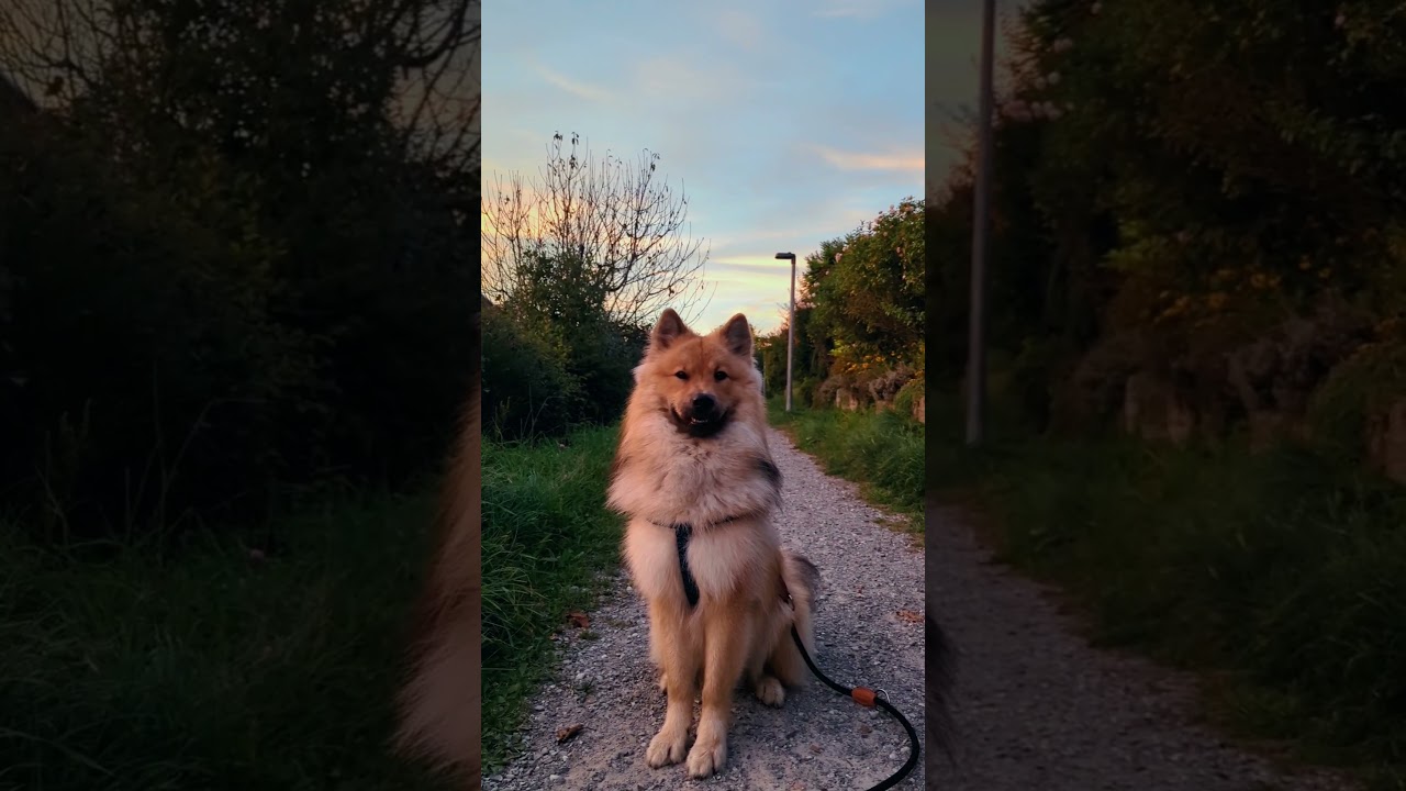 Those are just Decorations 🙉 