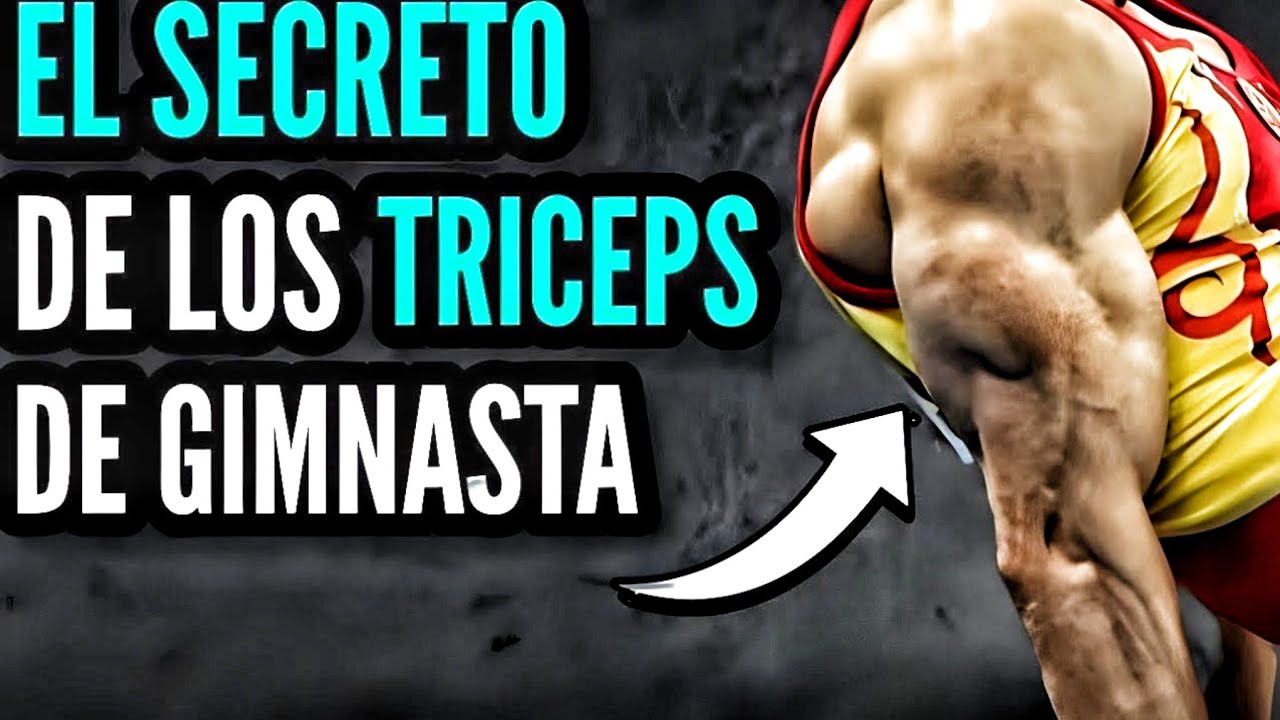 LOS SECRETOS del TRICEPS de gimnasta