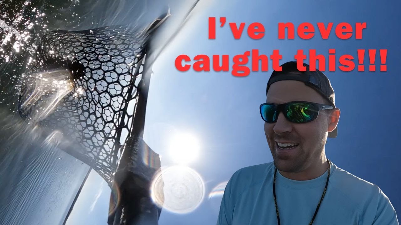 First Time I’ve Ever Caught This! | Deadstick Bass Fishing