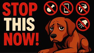 7 THINGS YOU DO THAT SECRETLY HURT YOUR DOG