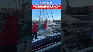 Charles Leclerc HILARIOUSLY CRAWLS Onto Boat In Monaco!