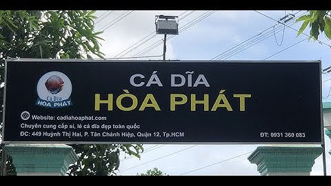 Trại Cá Dĩa Hòa Phát