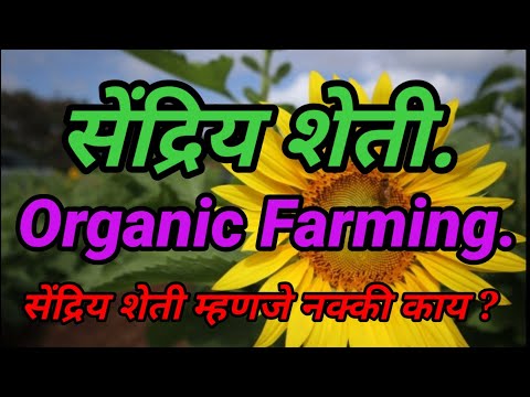 #सेंद्रियशेती#OrganicFarming सेंद्रियशेती म्हणजे काय?|सेंद्रिय शेती फायदे आणि वैशिष्ट|#sendriykheti|