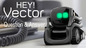 Interacting with Vector - Questions & Answers 4K Quality