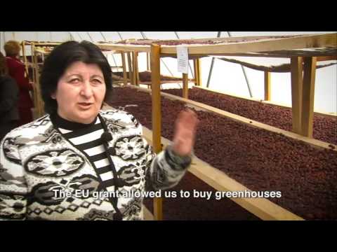 ლიას ისტორია