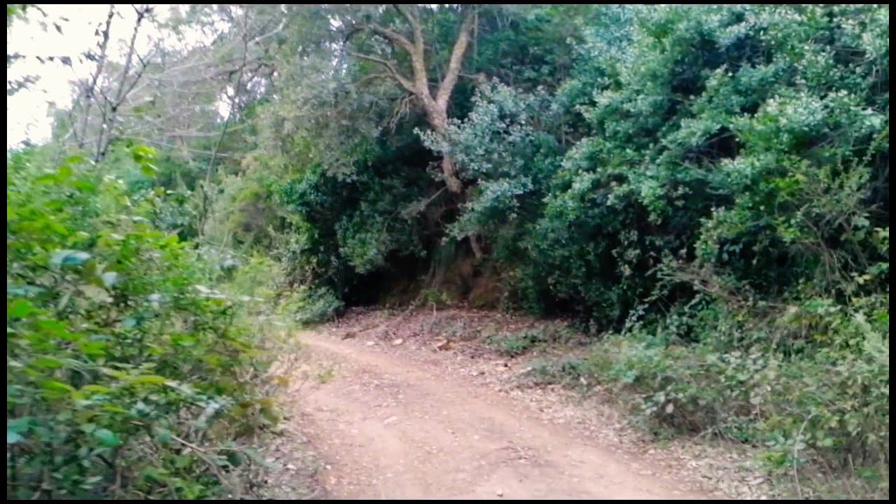 مغامرات في أعالي غابات بيسي جندل عزابة سكيكدة