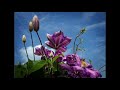 You've Got A Friend -Carole King (Covered by 柊しじま、y-bass、yuka)