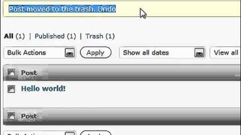 How to Edit a Post - WordPress Basics Video Tutorial