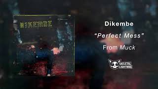 Video thumbnail of "Dikembe - "Perfect Mess" [OFFICIAL AUDIO]"
