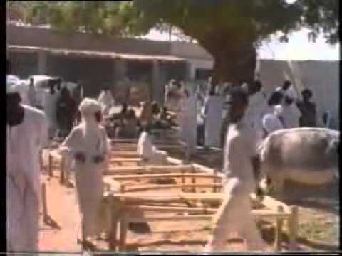 سوق تنقاسي 1987 فيديو