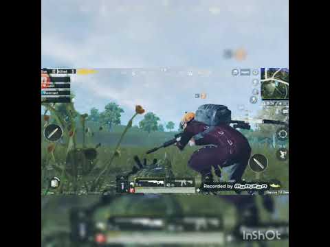 Winner winner chicken