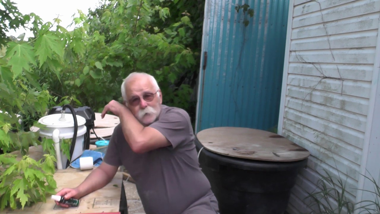 how to get rid of gnats - YouTube