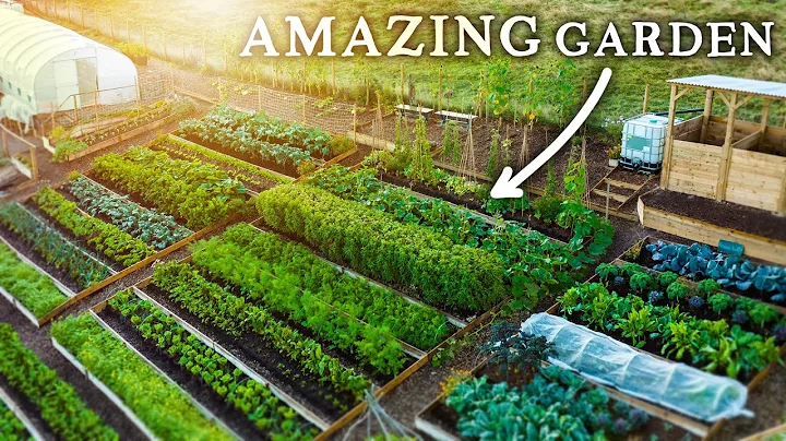 Spectacular NO DIG Garden Growing Food Abundance on a Hill!