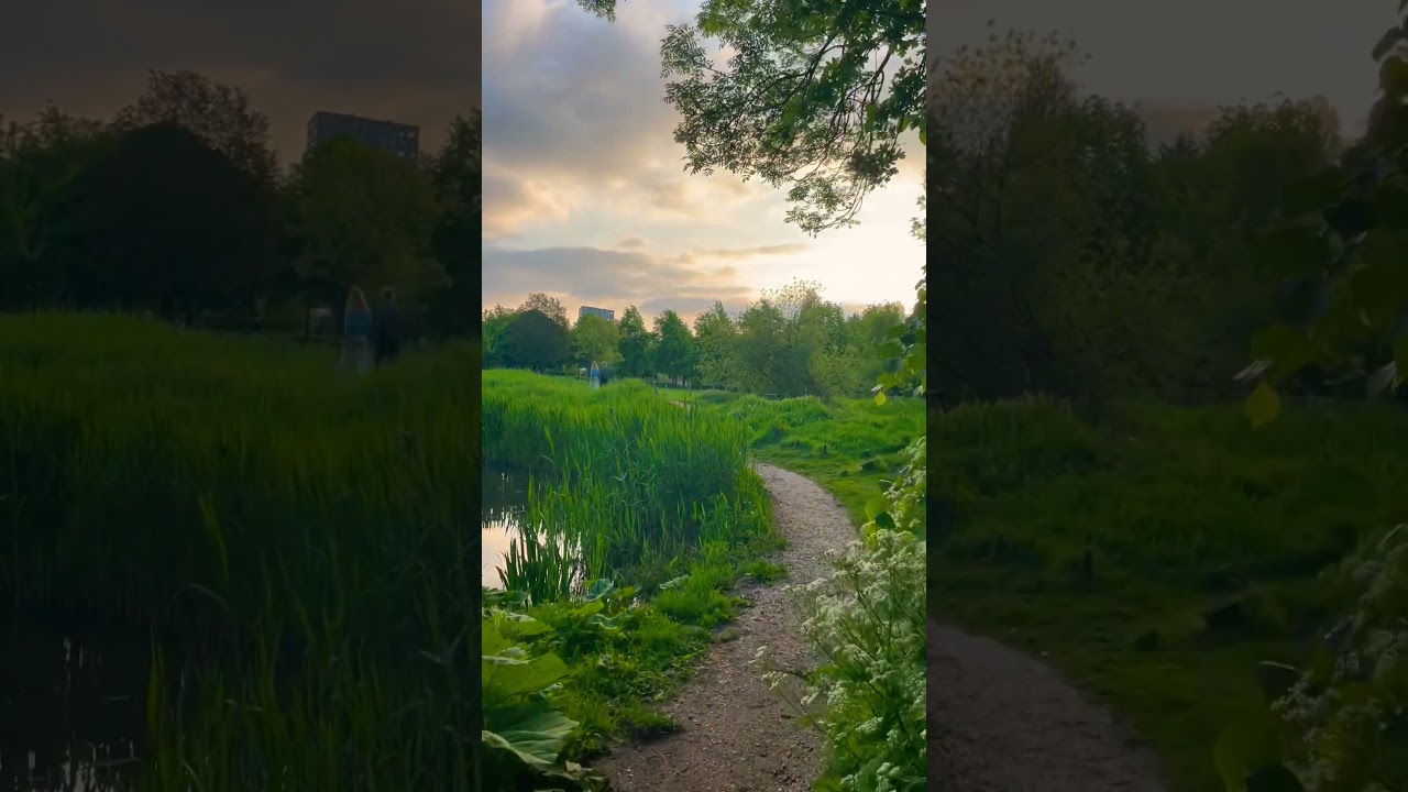 Exploring the Natural Beauty of Frankendael Park in Amsterdam 