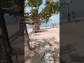 Kochi beach #villageliving #travel