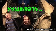 YeahBro TV - YouTube
