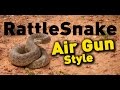 Rattle snake hunt real air gun hunting  american airgunner tv