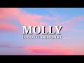 Lil Dicky - Molly (Lyrics) Ft. Brendon Urie