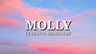 - Molly (Lyrics) Ft. Brendon Urie -